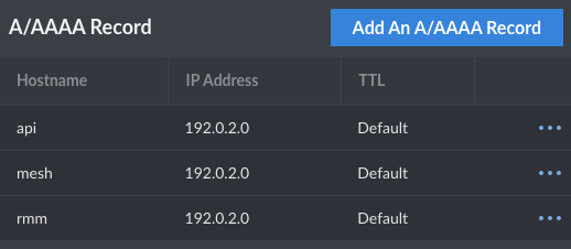 DNS A records in the Linode DNS Manager